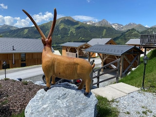 Chalet Hohentauern Outdoor Recording 8
