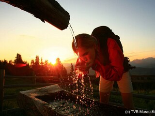 Chalet St. Georgen ob Murau Environment 17