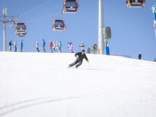 Chalet St. Lorenzen ob Murau Environment 28