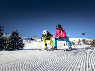 Chalet St. Lorenzen ob Murau Environment 29