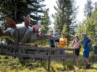 Chalet St. Lorenzen ob Murau Environment 23