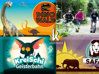 Chalet St. Lorenzen ob Murau Environment 20