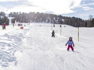 Chalet St. Lorenzen ob Murau Environment 23