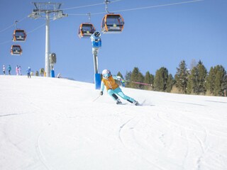 Chalet St. Lorenzen ob Murau Environment 25