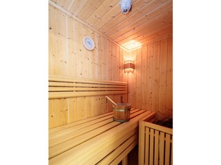 Apartment Schladming Features 19