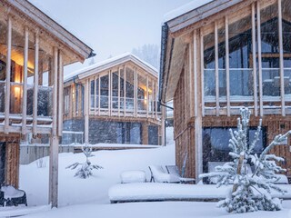 Chalet Haus im Ennstal Außenaufnahme 1
