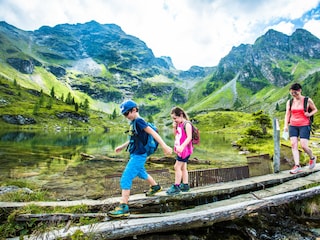 Chalet Haus im Ennstal Umgebung 24