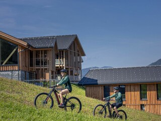 Chalet Haus im Ennstal Außenaufnahme 11