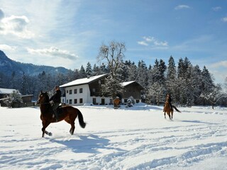 Apartment Hopfgarten im Brixental Environment 17