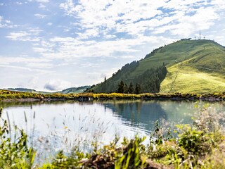 Apartment Hopfgarten im Brixental Environment 18