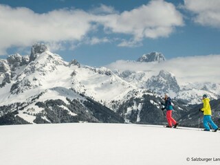 Apartment St. Martin am Tennengebirge Environment 21