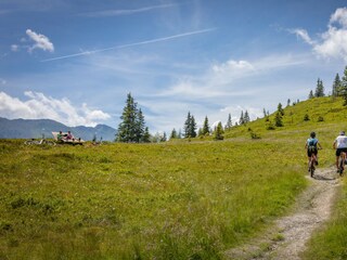 Apartment Fügen Außenaufnahme 4