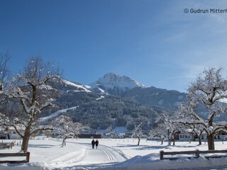 Apartment Oberndorf bei Kitzbühel Environment 15