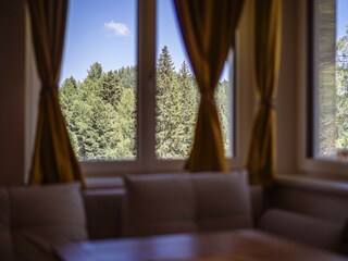 Apartment Turracherhöhe Features 11