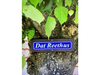 Dat Reethus