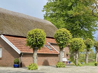 Parkplätze am Haus