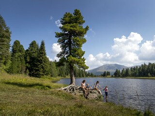 Apartment St. Lorenzen ob Murau Außenaufnahme 7