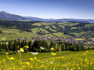 Apartment St. Lorenzen ob Murau Umgebung 20