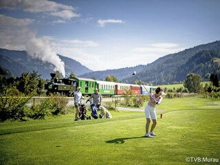 Chalet St. Lorenzen ob Murau Umgebung 18