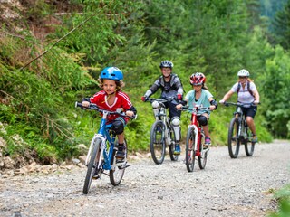 Chalet Hohentauern Environment 29