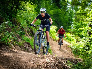 Chalet Hohentauern Environment 30