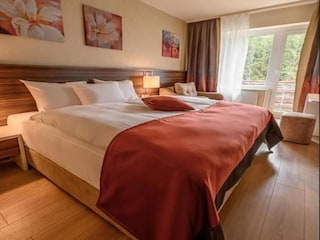 Appartement Zwota Équipement 4