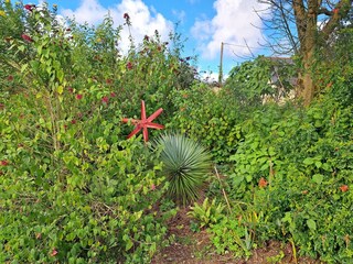 Vakantiehuis Guimaëc Buitenaudio-opname 13