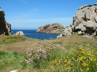 Ferienhaus Guimaëc Umgebung 35