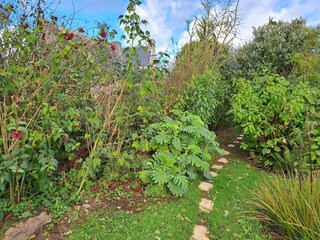 Casa de vacaciones Guimaëc Grabación al aire libre 7