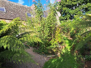 Vakantiehuis Guimaëc Buitenaudio-opname 8