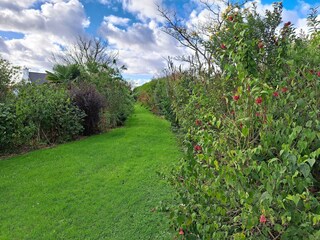Casa de vacaciones Guimaëc Grabación al aire libre 9