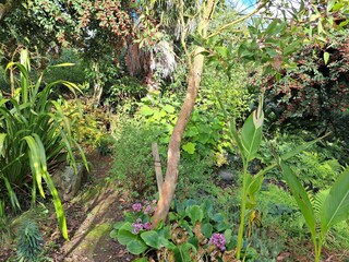 Casa de vacaciones Guimaëc Grabación al aire libre 10