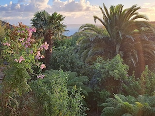 Maison de vacances Guimaëc Enregistrement extérieur 15