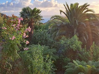 Vakantiehuis Guimaëc Buitenaudio-opname 15