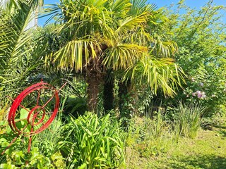 Casa de vacaciones Guimaëc Grabación al aire libre 14