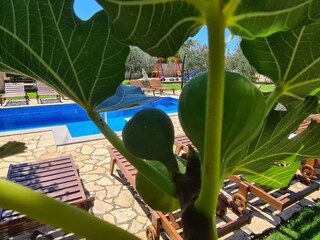 Villa Sestanovac Registrazione all'aperto 2