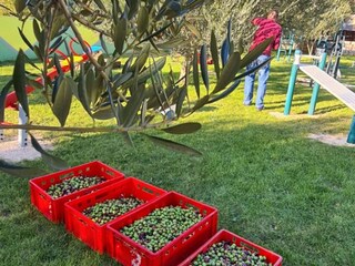 Villa Sestanovac Registrazione all'aperto 4