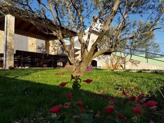 Villa Sestanovac Grabación al aire libre 6