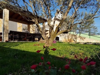 Villa Sestanovac Outdoor Recording 6