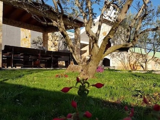 Villa Sestanovac Outdoor Recording 10