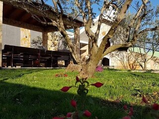 Villa Sestanovac Grabación al aire libre 11