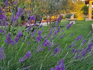 Villa Sestanovac Grabación al aire libre 21