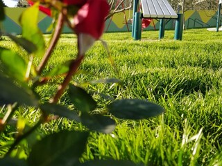 Villa Sestanovac Grabación al aire libre 37