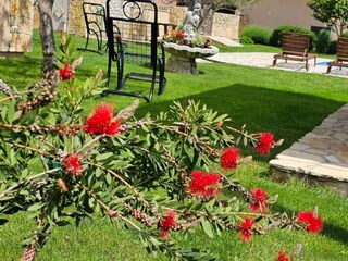 Villa Sestanovac  125