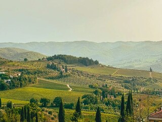 Appartamento Laterina Ambiente 24