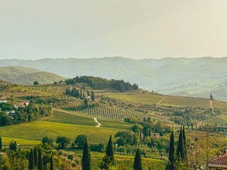 Appartamento Laterina Ambiente 26