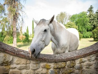 Apartamento Laterina  31