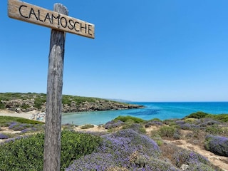 Holiday house Solarino Environment 37