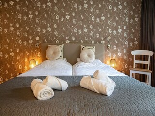 Casa per le vacanze Den Burg Caratteristiche 8