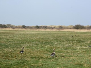 Casa per le vacanze Den Burg Ambiente 25